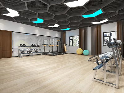 Modern Fitness Gym Interior With Hexagonal Ceiling Wooden Flooring And Workout Equipment 3d model