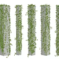 Green Vines Covering Five White Vertical Pillars With Lush Foliage