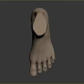 Man's Realistic Foot Model With Light Skin Tone On Dark Reflective Surface