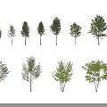 Various Trees in Different Sizes and Types with Lush Green Foliage 3d model