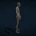 Creepy Gaunt Humanoid Game and Movie Character with Shriveled Skin and Grayish Tone 3d model
