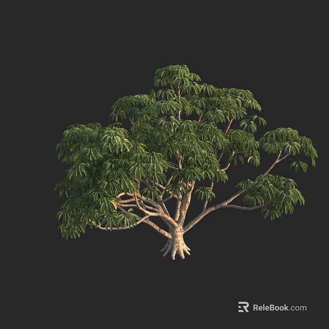 Lush Green Arbor With Dense Foliage And Strong Trunk Structure 3d model