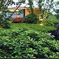 Rockery Stones In Scenic Garden With Small Stream Lush Green Plants And Evening Lights