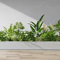 Stylish Flower Bed Planter With Various Green Plants Against White Wall And Wooden Floor