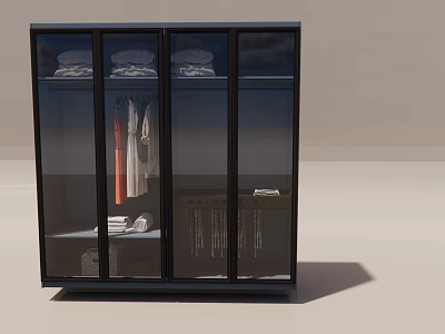 Modern Glass Door Wardrobe With Black Frame And Hanging Clothes Storage 3d model