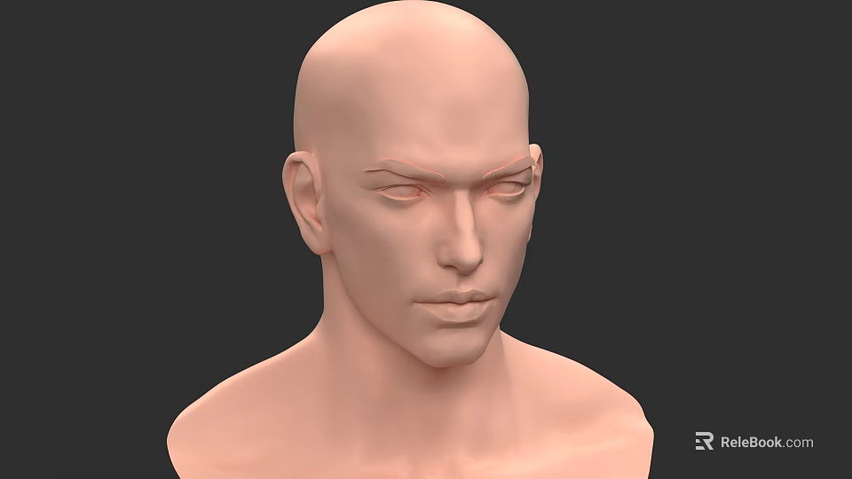 Realistic Male Head 3D Model with Detailed Facial Features and Upper Torso 3d model 
