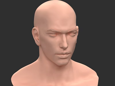 Realistic Male Head 3D Model with Detailed Facial Features and Upper Torso 3d model