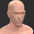Realistic Male Head 3D Model with Detailed Facial Features and Upper Torso