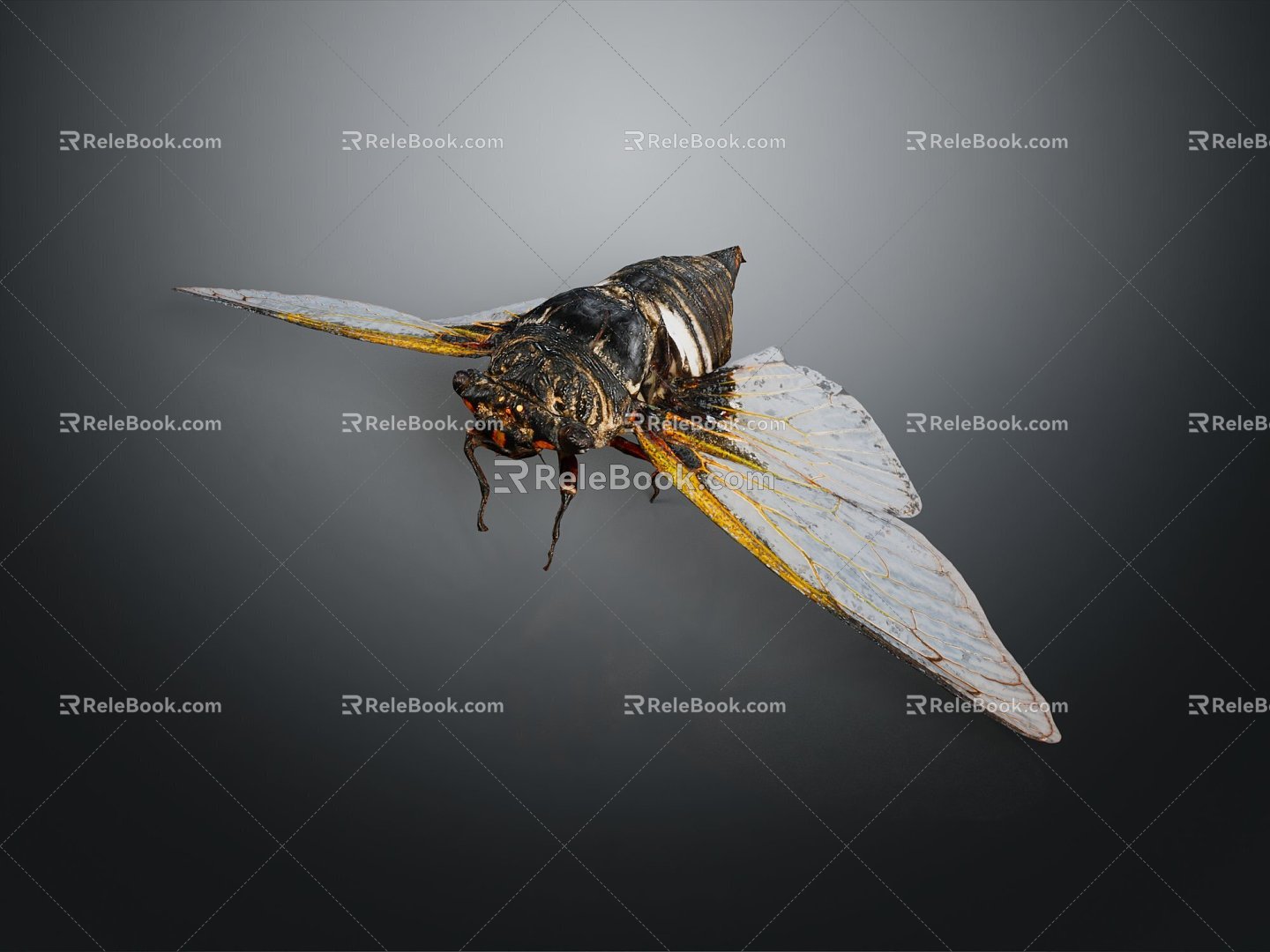 Modern Moth Moth Animal Anime Character 3d model