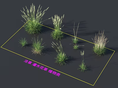 Ornamental Grasses And Shrubs For Garden Landscape Decoration With Greenery 3d model