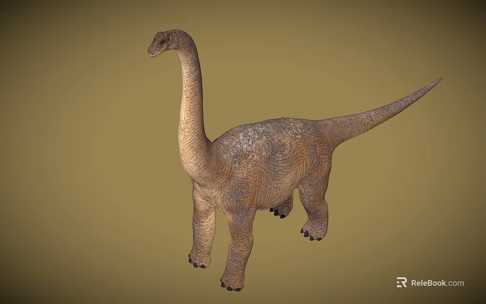 Reptile Dinosaur Model With Long Neck Tail And Scaly Skin Standing Pose On Neutral Background 3d model 