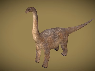 Reptile Dinosaur Model With Long Neck Tail And Scaly Skin Standing Pose On Neutral Background 3d model