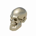 Polished Silver Skull Sculpture With Detailed Carving And Artistic Design