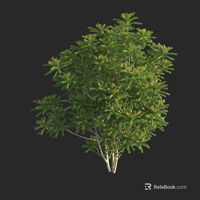 Lush Green Arbor With Dense Foliage And White Trunk Structure 3d model 