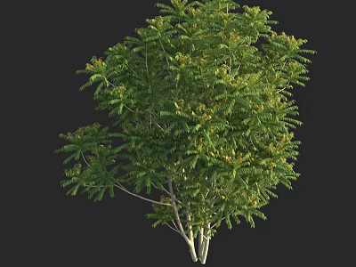 Lush Green Arbor With Dense Foliage And White Trunk Structure 3d model