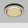 Modern Round Ceiling Light With Gold Frame And White Illumination For Home Decor