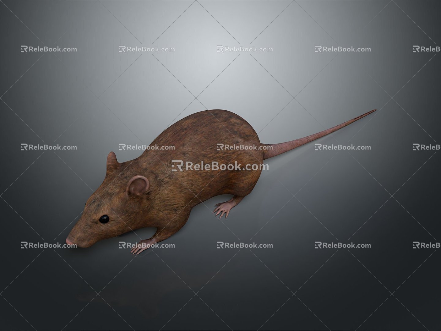 Cartoon Mouse Animated Mouse Mouse Mouse Mouse Mouse Grey Mouse Anime Mouse Cartoon Character 3d model