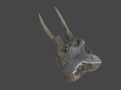 Ancient Dinosaur Skull Fossil With Prehistoric Bone Structure And Detailed Texture 3d model