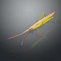 Game Movie Character Green Grasshopper With Slender Body Red Antennae Dark Background And Reflection
