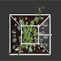 Green Plants Growing in Hanging Glass Terrarium with Small Stones and Soil