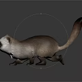 Cute Ferret Character With White And Brown Fur Standing On Gray Surface