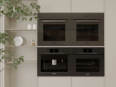 Modern Built in Kitchen Appliances with Double Ovens Microwave and Cabinetry Plus Green Plants 3d model