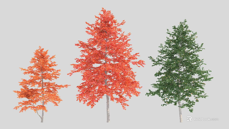 Three Arbor Trees Displaying Orange Red and Green Vibrant Foliage in Different Colors 3d model 