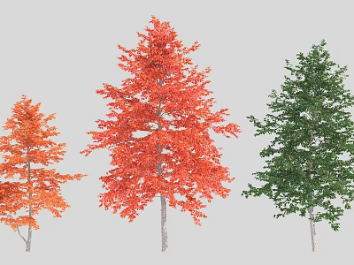 Three Arbor Trees Displaying Orange Red and Green Vibrant Foliage in Different Colors 3d model