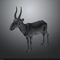 Standing Grey Antelope 3D Model With Long Curved Horns On Simple Background 3d model
