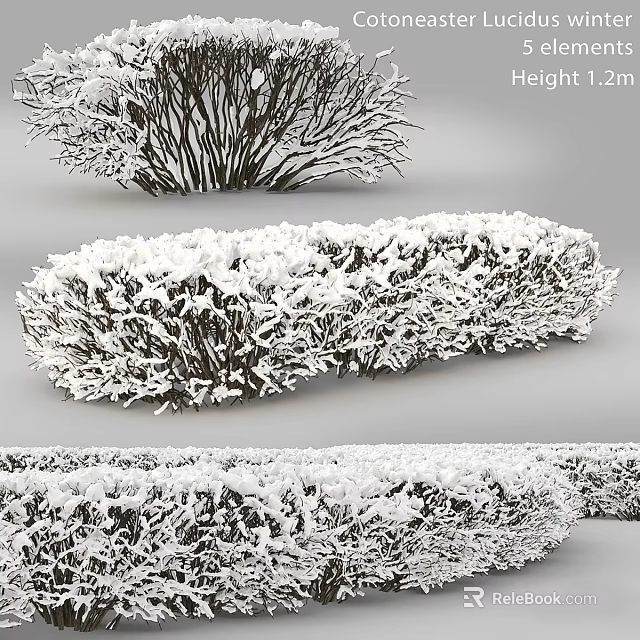 Decorative Ornament Set with Snow Covered Bushes and Frosty Details 3d model 