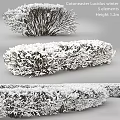Decorative Ornament Set with Snow Covered Bushes and Frosty Details