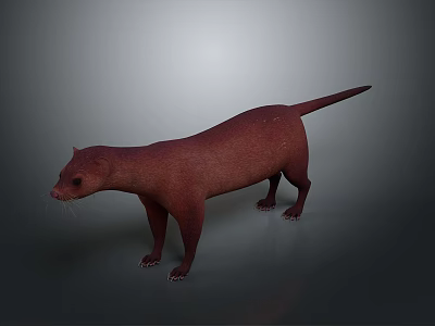 Realistic Brown Otter 3D Model in Standing Pose with Neutral Gray Background 3d model