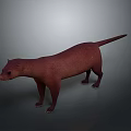 Realistic Brown Otter 3D Model in Standing Pose with Neutral Gray Background