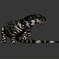 Black and White Striped Lizard with Open Mouth and Tongue on Gray Background