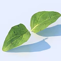 Two Fresh Green Leaves With Visible Veins And Dark Spots On Light Background