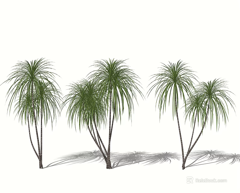 Tropical Shrubs With Long Green Leaves And Multiple Stems In Landscape 3d model 