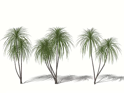 Tropical Shrubs With Long Green Leaves And Multiple Stems In Landscape 3d model