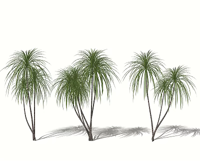 Tropical Shrubs With Long Green Leaves And Multiple Stems In Landscape 3d model