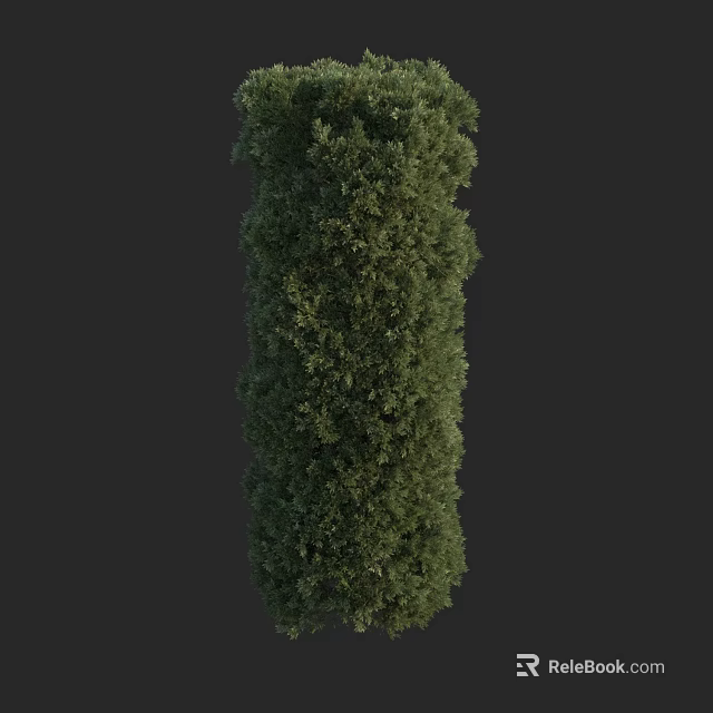 Well Trimmed Evergreen Columnar Shrub With Dense Green Foliage For Garden Landscaping 3d model 