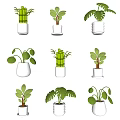 Various Potted Green Plants With Different Leaf Shapes In White Ceramic Pots