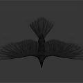 Detailed Black Crow With Spread Wings Standing On White Background Surface 3d model
