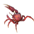 Red Aquatic Crab With Large Claws And Prominent Eyes In Natural Habitat