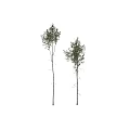 Decorative Tree Ornament Set With Various Green Foliage And Natural Trunk Design