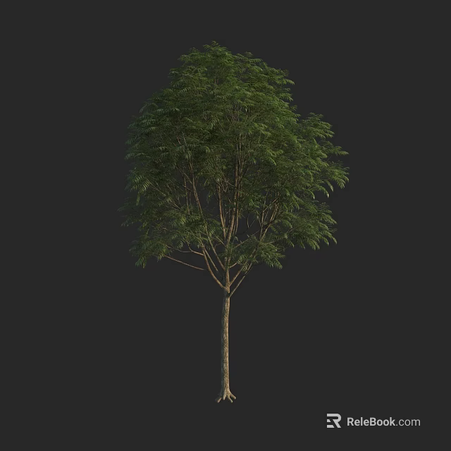 Tall Arbor Tree With Lush Green Foliage And Strong Trunk Structure 3d model