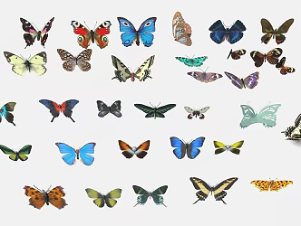 Modern Butterfly Specimen Wall Decoration Pendant 3d model