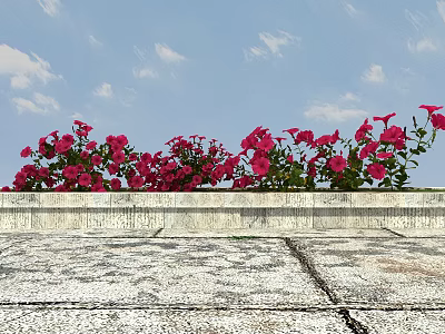 Red Flowers Growing On Gray Stone Wall Against Blue Sky With White Clouds 3d model