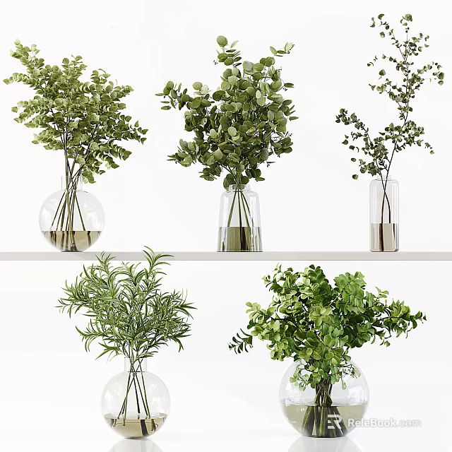 Various Green Plants In Transparent Glass Vases Displayed On White Shelf 3d model 