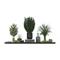 Ornamental Decor Combination With Apples Limes Rosemary Plants Books And Cups