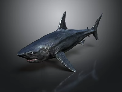 Realistic Silver Shark With Open Mouth And Sharp Teeth On Dark Background 3d model