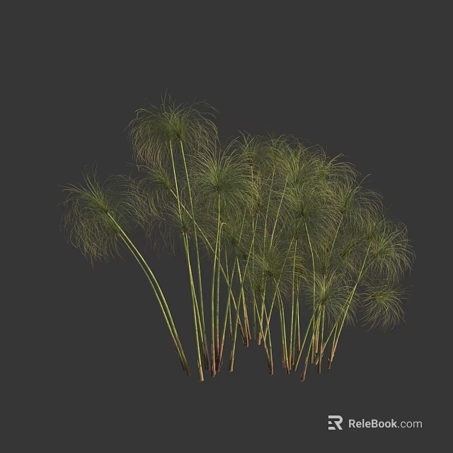 Graceful Green Plants With Long Slender Stems And Feathery Leaves On Dark Background 3d model 